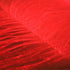 ORGANZA LUMINOUS FABRIC - SAMPLE PACK